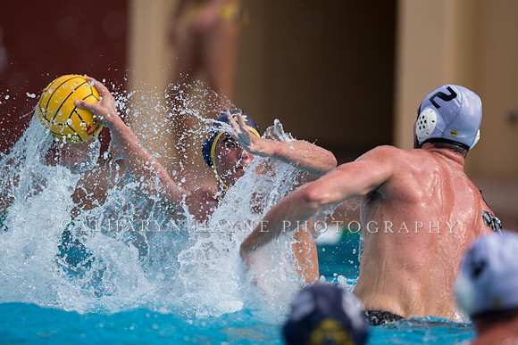 Cal vs LBSU at Stanford Spring Invitational