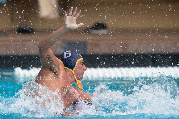 Cal vs LBSU at Stanford Spring Invitational