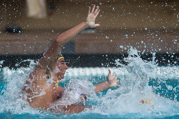 Cal vs LBSU at Stanford Spring Invitational