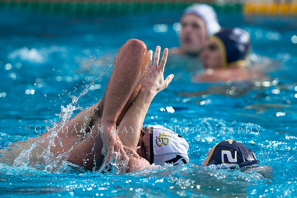 Cal vs LBSU at Stanford Spring Invitational