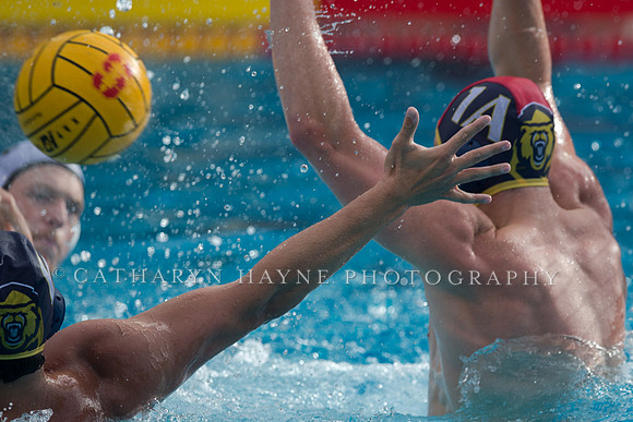 Cal vs LBSU at Stanford Spring Invitational