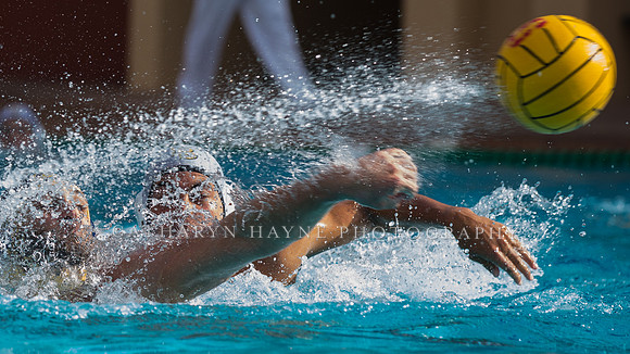 Cal vs LBSU at Stanford Spring Invitational