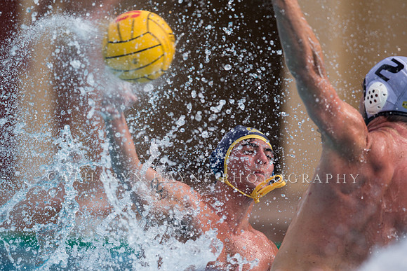Cal vs LBSU at Stanford Spring Invitational