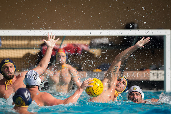 Cal vs LBSU at Stanford Spring Invitational