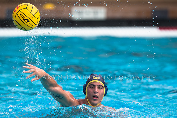 Cal vs LBSU at Stanford Spring Invitational