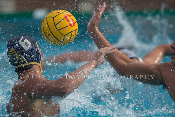 Cal vs LBSU at Stanford Spring Invitational