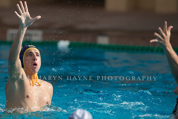 Cal vs LBSU at Stanford Spring Invitational