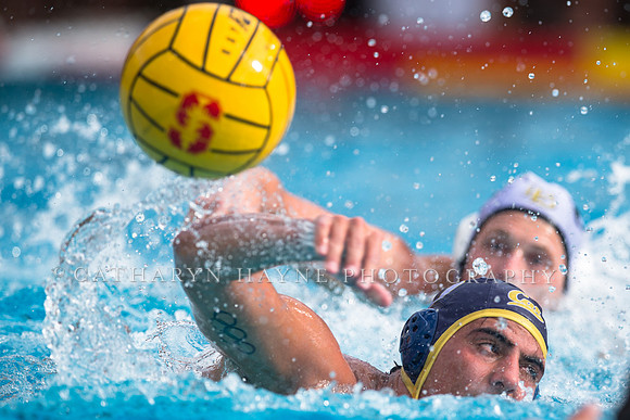 Cal vs LBSU at Stanford Spring Invitational