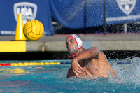 Sawyer Rhodes (4)