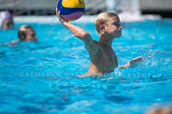 Usa Water Polo Skills Clinic
