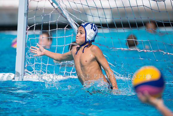 Usa Water Polo Skills Clinic