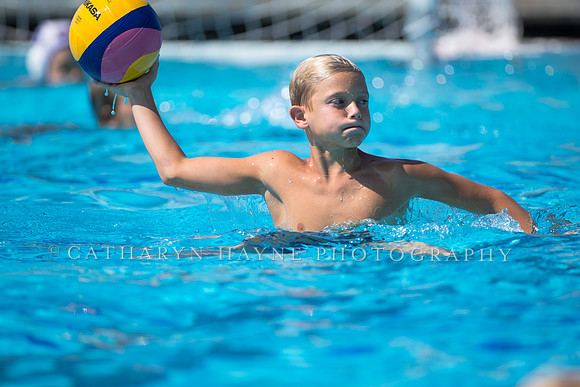 Usa Water Polo Skills Clinic