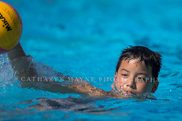 Usa Water Polo Skills Clinic