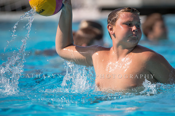 Usa Water Polo Skills Clinic