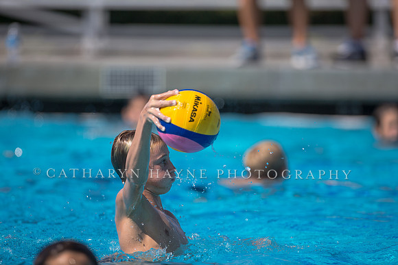 Usa Water Polo Skills Clinic