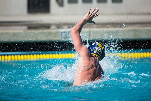 Aggie Roundup UC Davis vs DVC
