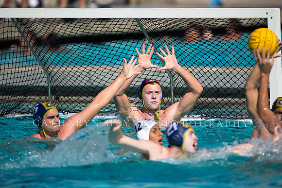 Aggie Roundup UC Davis vs DVC