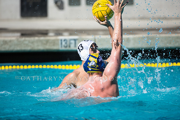 Aggie Roundup UC Davis vs DVC