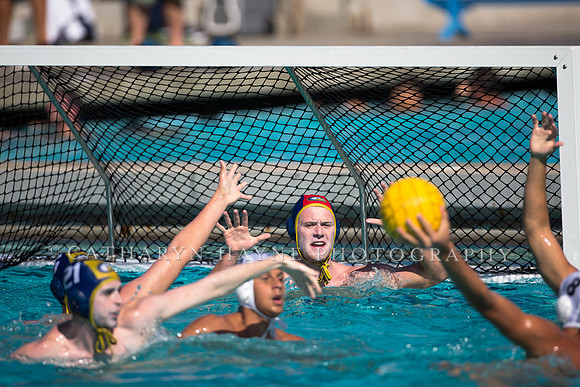 Aggie Roundup UC Davis vs DVC