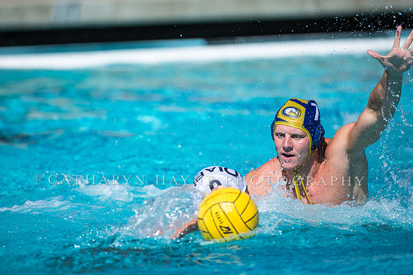 Aggie Roundup UC Davis vs DVC