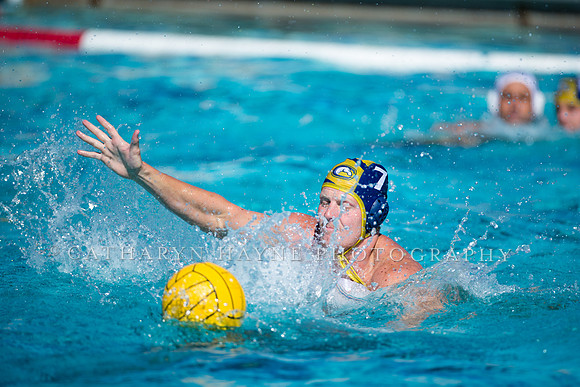 Aggie Roundup UC Davis vs DVC