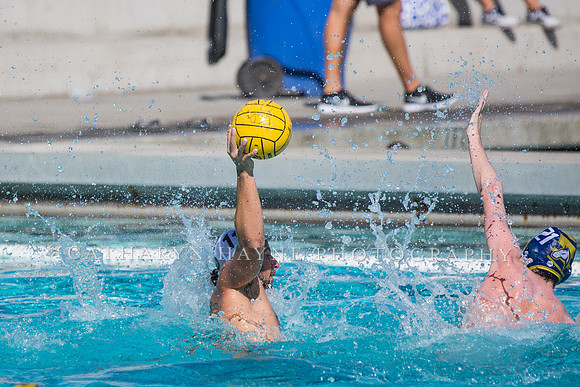 Aggie Roundup UC Davis vs DVC