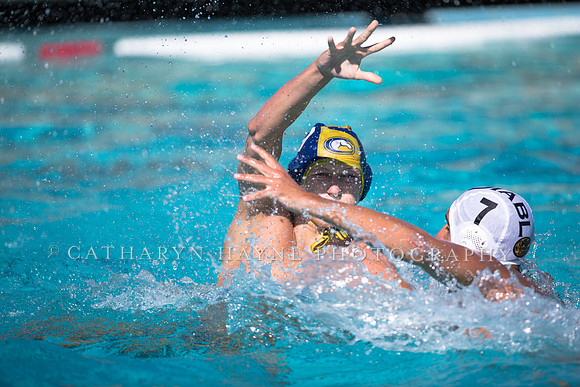 Aggie Roundup UC Davis vs DVC
