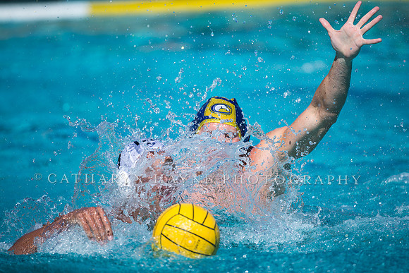Aggie Roundup UC Davis vs DVC