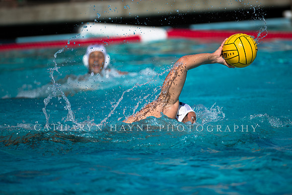 Aggie Roundup UC Davis vs DVC