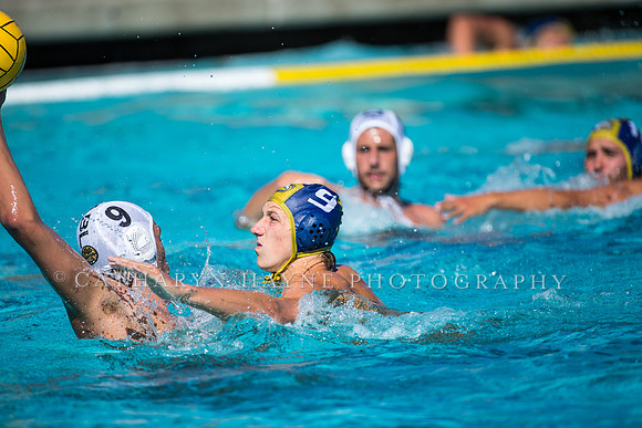 Aggie Roundup UC Davis vs DVC