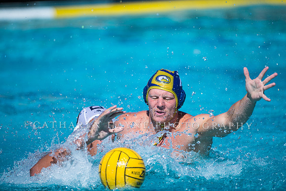 Aggie Roundup UC Davis vs DVC