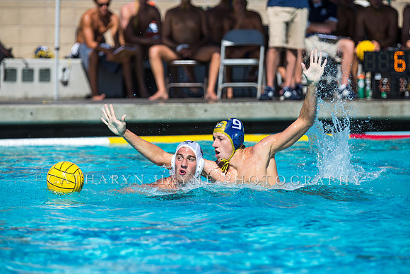 Aggie Roundup UC Davis vs DVC