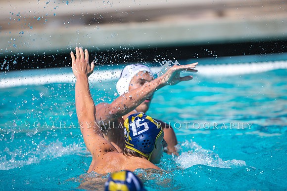 Aggie Roundup UC Davis vs DVC