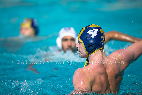 Aggie Roundup UC Davis vs DVC