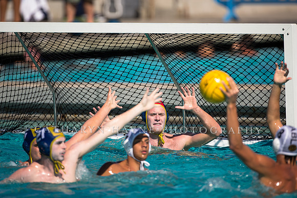 Aggie Roundup UC Davis vs DVC