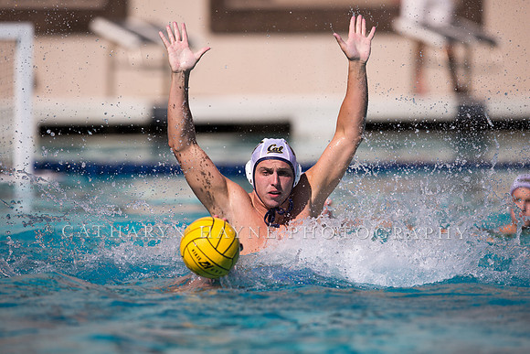 Cal vs UCLA at Mountain Pacific Invitational