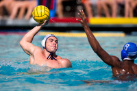 Cal vs UCLA at Mountain Pacific Invitational