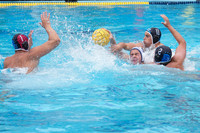 Reed Panteleon, Connor Mannion, Tanner Pulics, Stylianos Dalmaras
