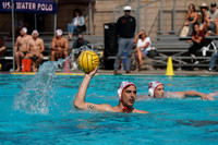 Luca Cupido