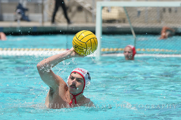 Nicholas Carniglia (12)