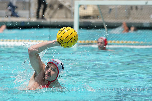 Nicholas Carniglia (12)