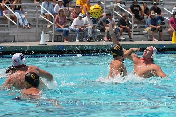 Hannes Daube (7), Connor Mannion (10)