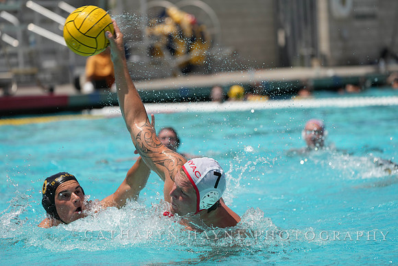 Connor Mannion (10), Hannes Daube (7)