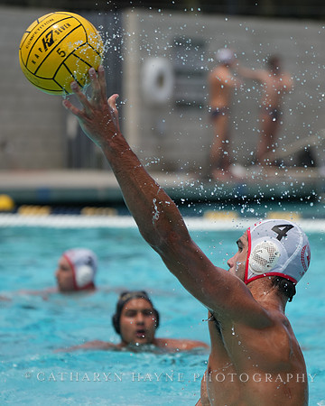 Sawyer Rhodes (4)