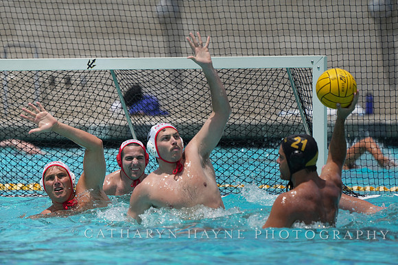Jesse Smith (6), Christopher Whitelegge (1)