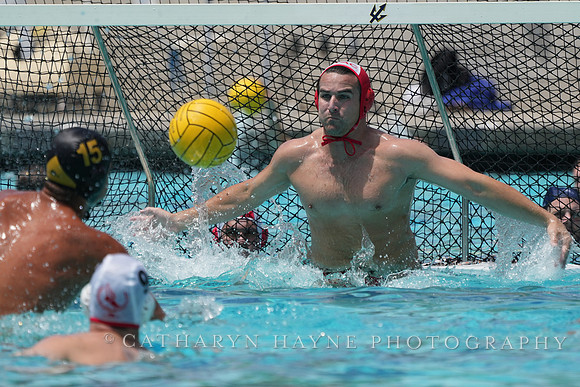 Christopher Whitelegge (1), Aleksandar Timotijevic (15)