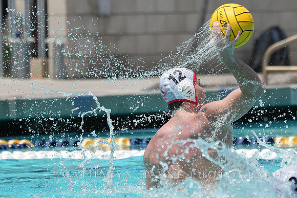 Nicholas Carniglia (12)