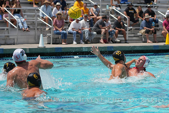 Hannes Daube (7), Connor Mannion (10)