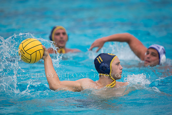 Mens College Water Polo Triton Invitational: California Golden Bears vs UC Santa Barbara Gauchos