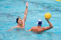 Mens College Water Polo Triton Invitational: California Golden Bears vs UC Santa Barbara Gauchos